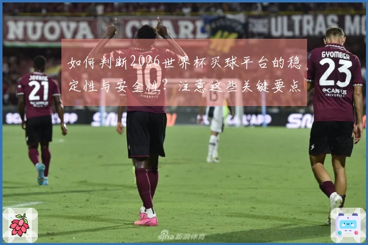 如何判断2026世界杯买球平台的稳定性与安全性？注意这些关键要点！