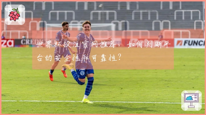 世界杯投注官网推荐，如何判断平台的安全性和可靠性？