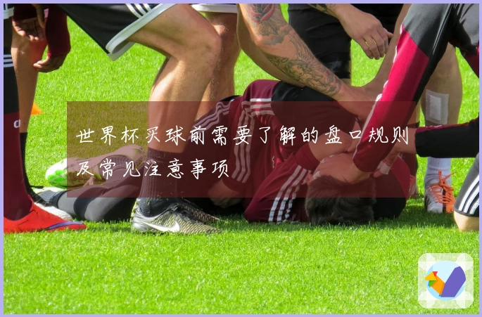世界杯买球前需要了解的盘口规则及常见注意事项